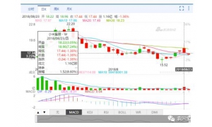 小米靓丽财报背后：利好刺激之下，小米股价只有反弹没有反转