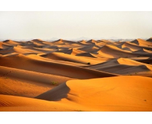 阿拉善沙漠有几个沙漠蚂蚁庄园11.23 阿拉善三大沙漠答案早知道