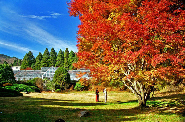 秋天庐山旅游