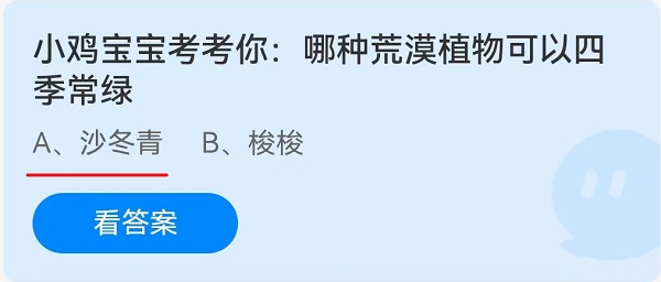 小鸡宝宝考考你：哪种荒漠植物可以四季长春？