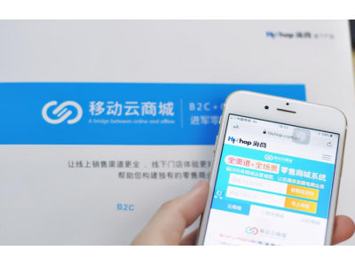 国内运用b2c模式的电商平台有哪些？