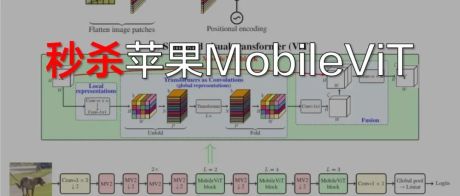 ECCV 2022丨轻量级模型架构火了，力压苹果MobileViT